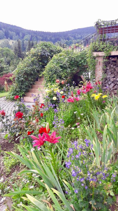 Apartamenty Dom Na Wzgorzu Gardenia Stronie Slaskie Luaran gambar